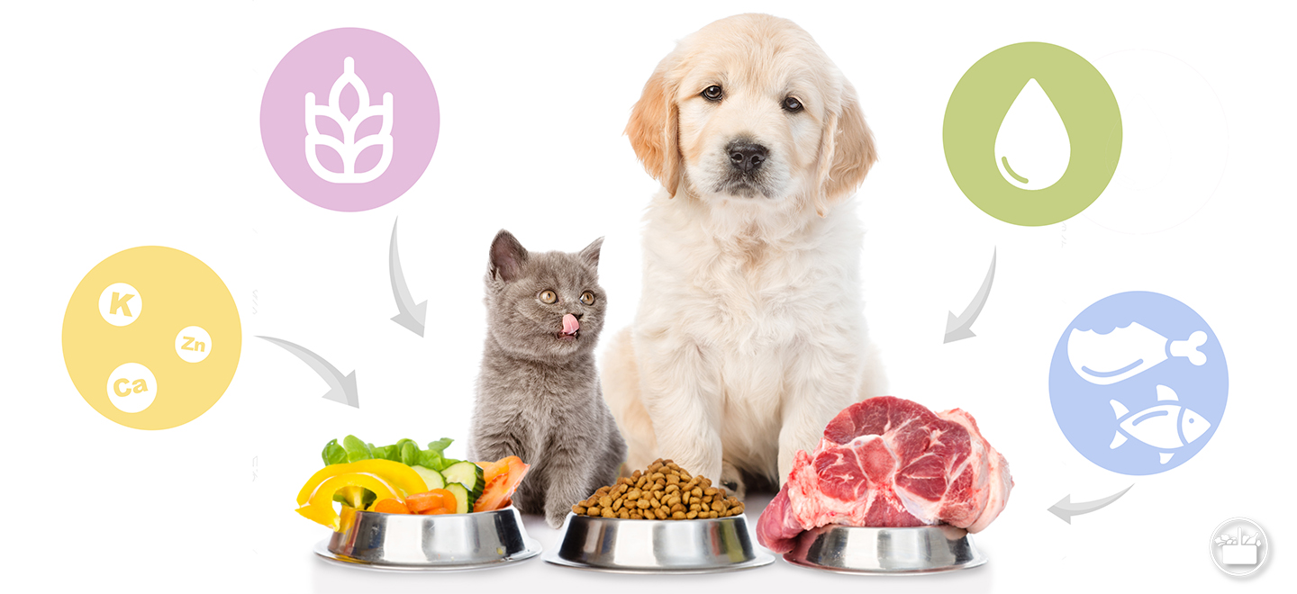 Conhece os componentes nutricionais da comida do seu animal de estimação?